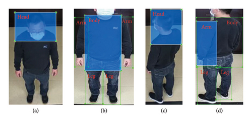 Details are in the caption following the image Details are in the caption following the image