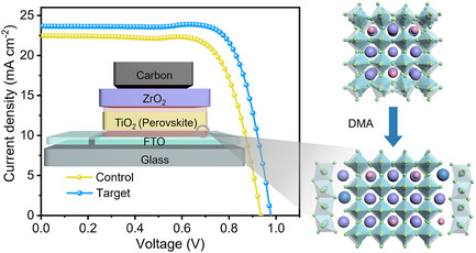 Mechanism of the Dimethylammonium Cation in Hybrid Perovskites for Enhanced Performance and Stability of Printable Perovskite Solar Cells