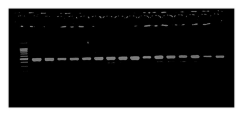 Details are in the caption following the image