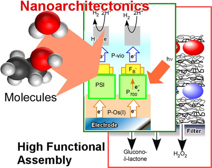 Nanoarchitectonics beyond Self-Assembly: Challenges to Create Bio-Like Hierarchic Organization