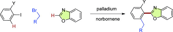 Palladium-Catalyzed Heteroarylation and Concomitant ortho-Alkylation of Aryl Iodides