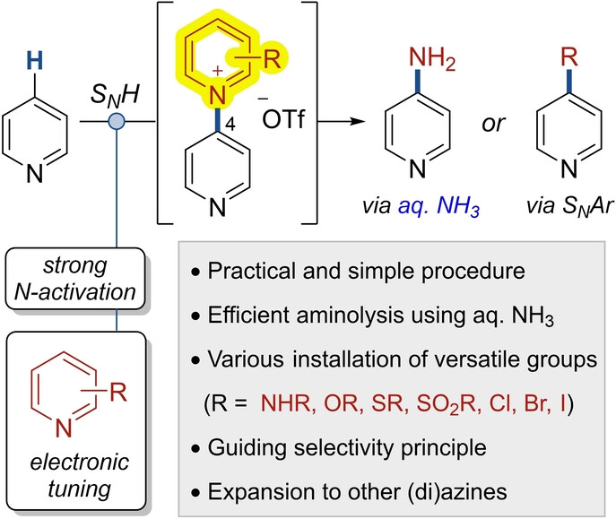 Mechanistic Approach Toward the C4-Selective Amination of Pyridines via Nucleophilic Substitution of Hydrogen