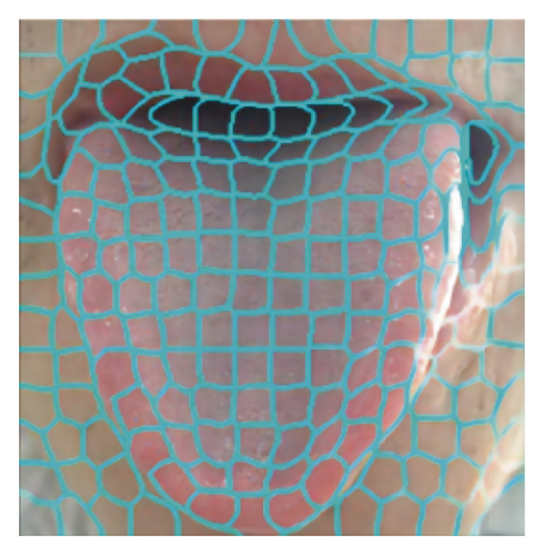 Details are in the caption following the image Details are in the caption following the image