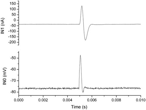 Details are in the caption following the image Details are in the caption following the image