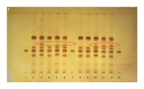 Details are in the caption following the image