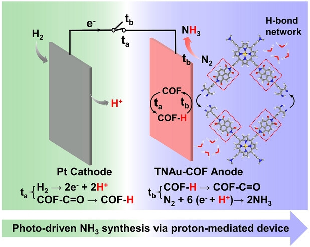Photo-Driven Ammonia Synthesis via a Proton-Mediated Photoelectrochemical Device