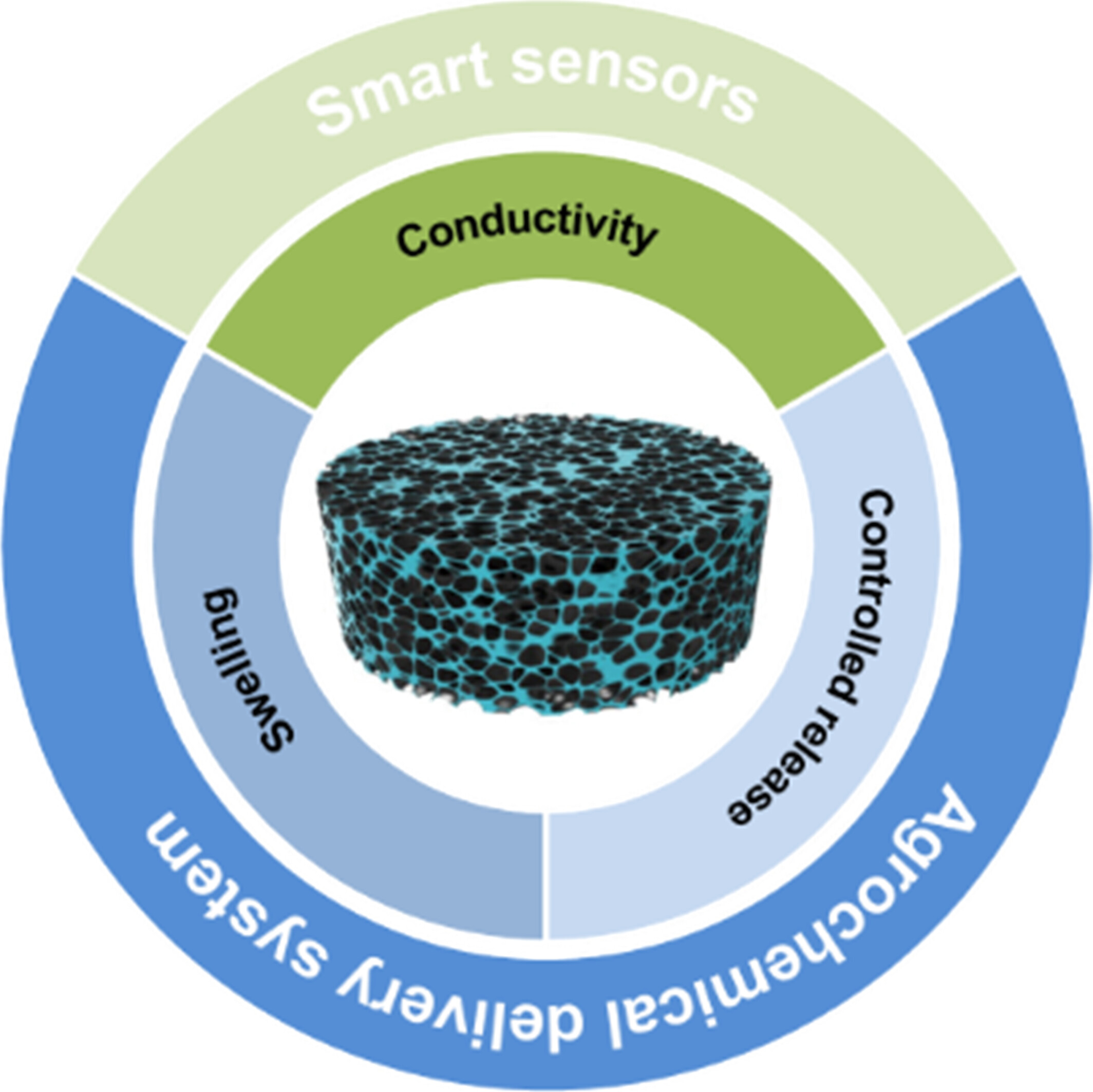 Smart Hydrogels for Sustainable Agriculture