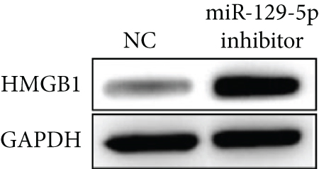 Details are in the caption following the image