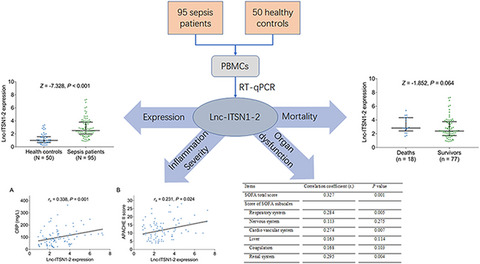 Blood long non-coding RNA intersectin 1–2 is highly expressed and links with increased Th17 cells, inflammation, multiple organ dysfunction, and mortality risk in sepsis patients