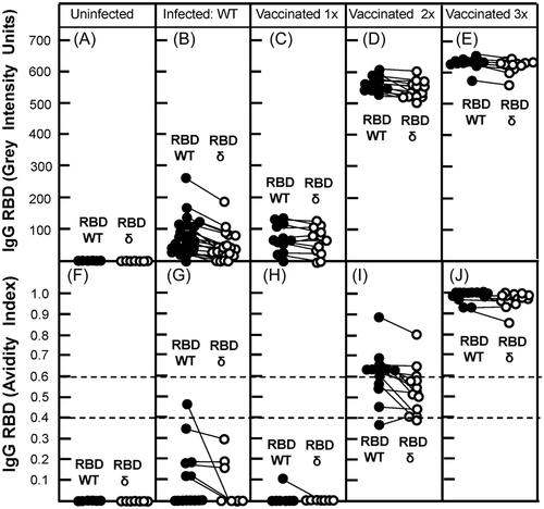 Details are in the caption following the image