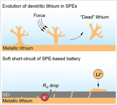In Situ Optical Observation of Lithium Dendrite Pattern in Solid Polymer Electrolytes