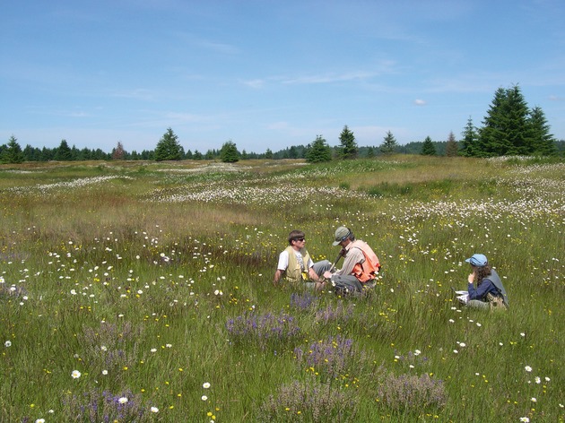 Plant traits – a tool for restoration?