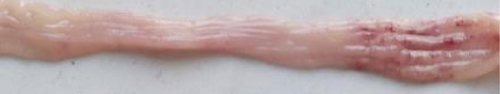 Details are in the caption following the image