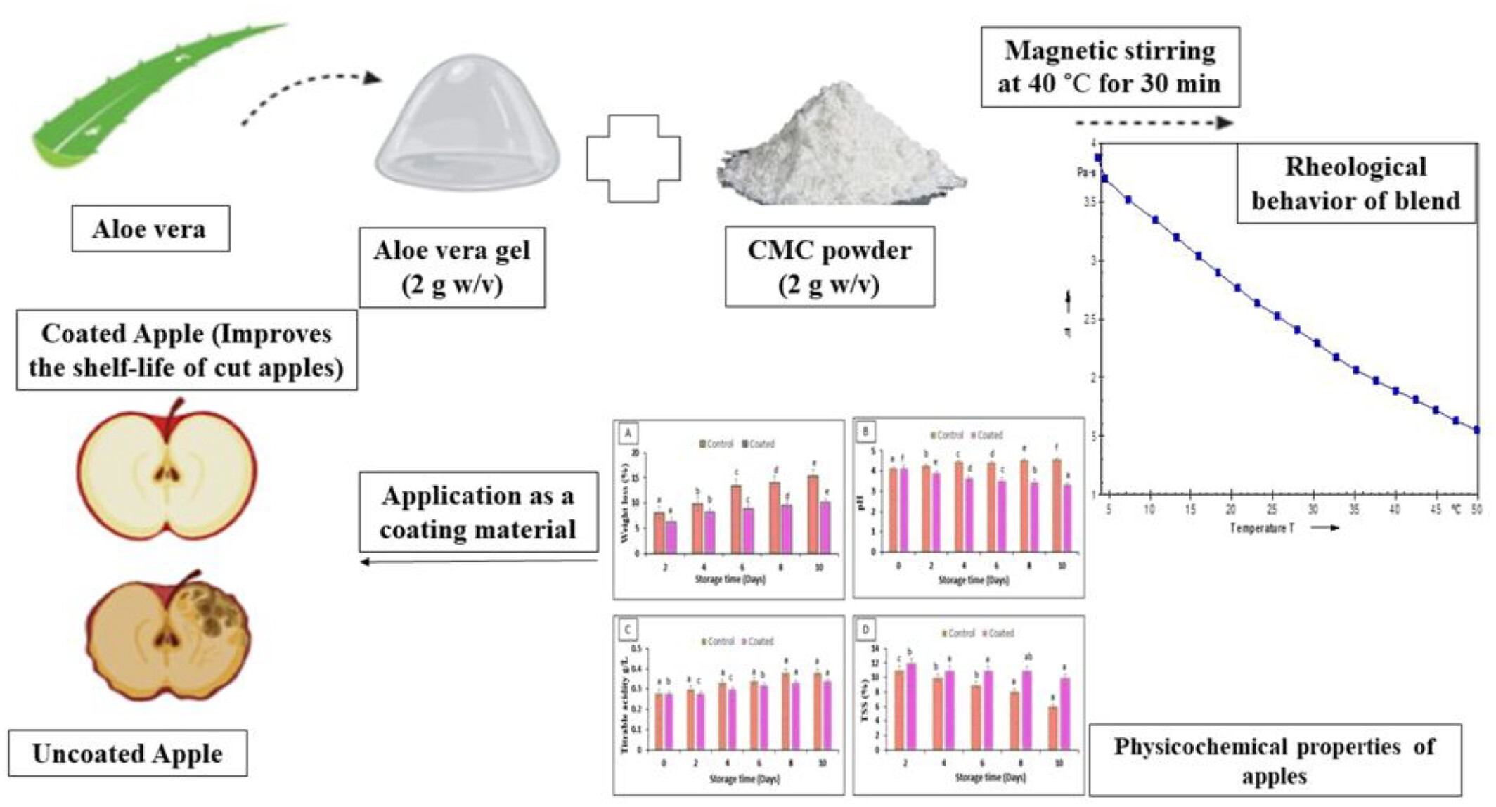 Effect of Aloe vera and carboxymethyl cellulose-derived binary blend edible coating on the shelf life of fresh-cut apple