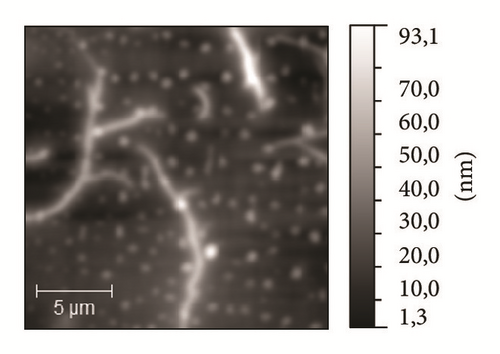 Details are in the caption following the image
