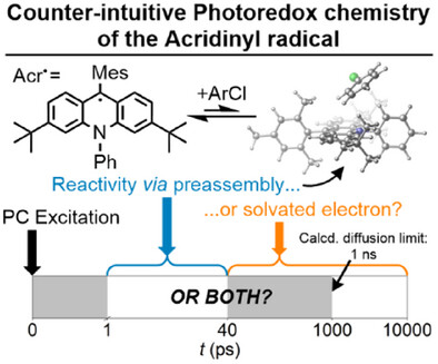 Counterintuitive Photochemistry of an Isolated Acridinyl Radical: ConPET via Preassembly, Solvated Electrons or a Long-Lived Excited State?