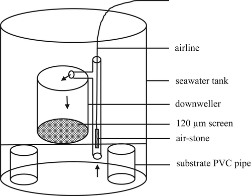 Details are in the caption following the image Details are in the caption following the image