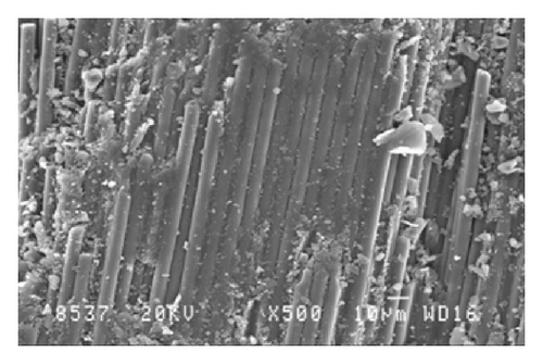 Details are in the caption following the image