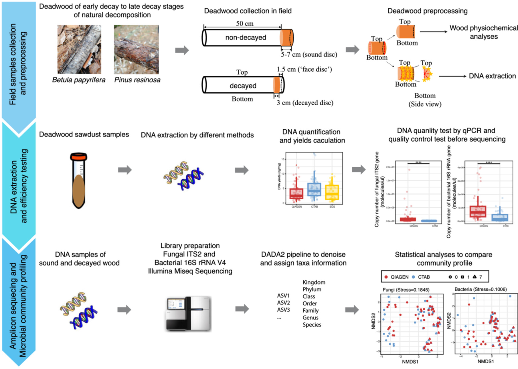 Evaluation of DNA Extraction Methods for Microbial Community Profiling in Deadwood Decomposition
