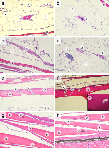 Details are in the caption following the image Details are in the caption following the image