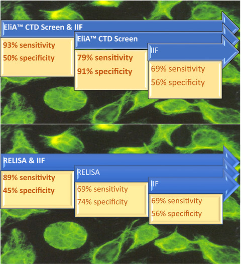 Comparison of the analytical and clinical performances of two different routine testing protocols for antinuclear antibody screening