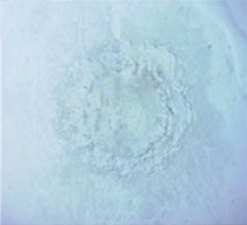 Details are in the caption following the image