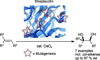 OsO4⋅Streptavidin: A Tunable Hybrid Catalyst for the Enantioselective cis-Dihydroxylation of Olefins