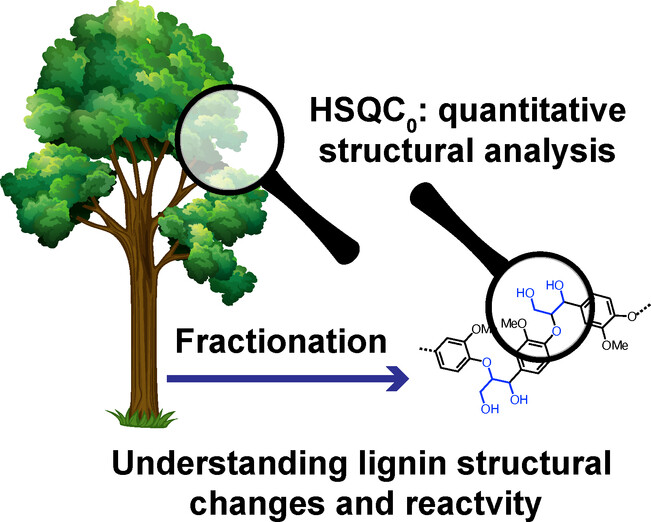 Quantification of Native Lignin Structural Features with Gel-Phase 2D-HSQC0 Reveals Lignin Structural Changes During Extraction