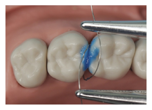 Details are in the caption following the image Details are in the caption following the image
