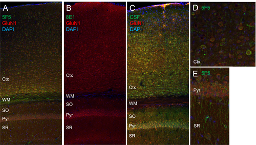 Details are in the caption following the image Details are in the caption following the image