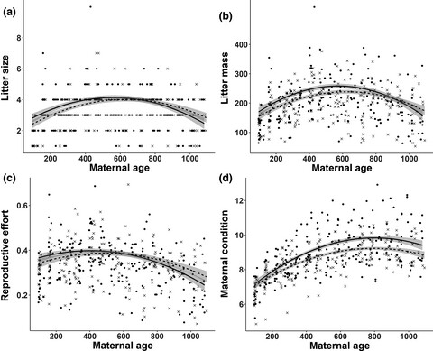 Senescence and costs of reproduction in the life history of a small precocial species
