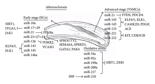 Details are in the caption following the image