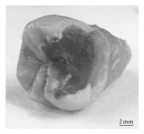 Details are in the caption following the image