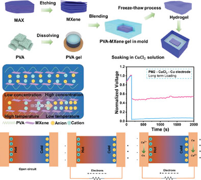A Multifunctional MXene/PVA Hydrogel as a Continuous Ionic Thermoelectric Generator and a Strain/Temperature Sensor