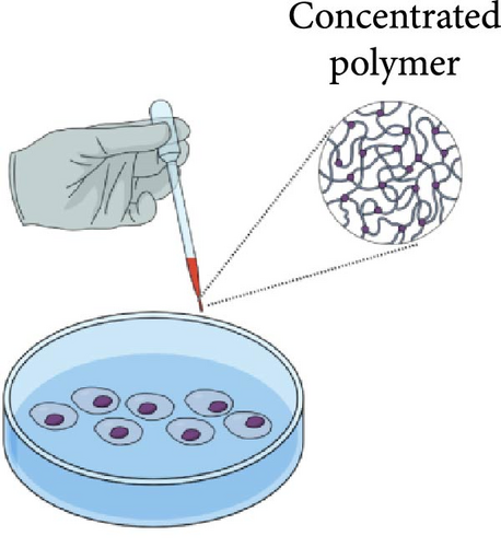 Details are in the caption following the image