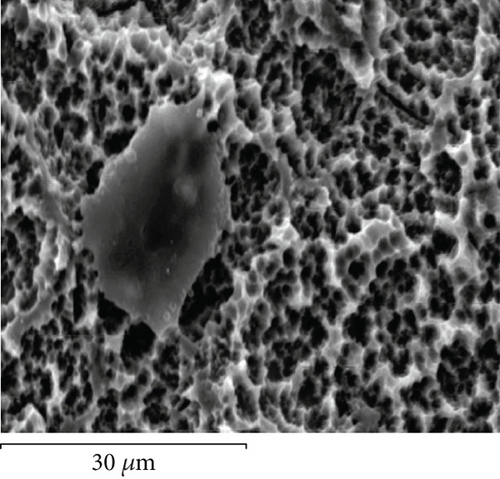 Details are in the caption following the image