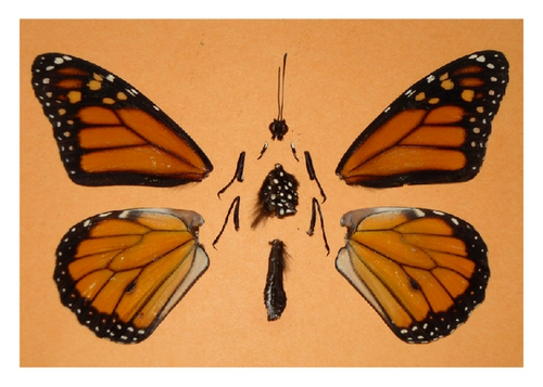Details are in the caption following the image
