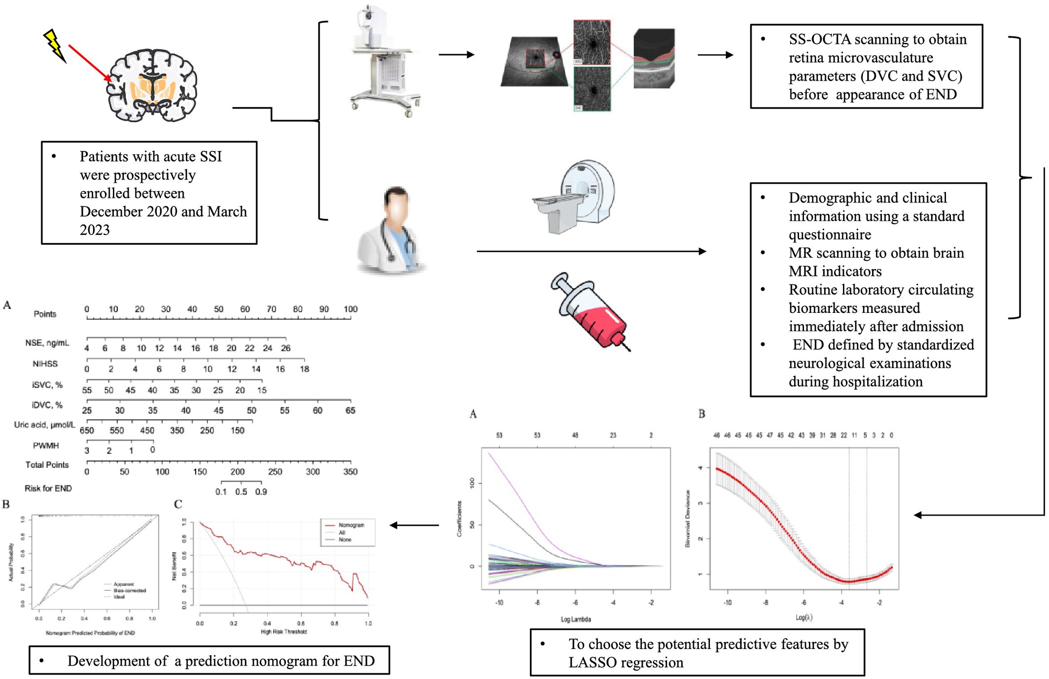 A Novel Nomogram Integrating Retinal Microvasculature and Clinical Indicators for Individualized Prediction of Early Neurological Deterioration in Single Subcortical Infarction