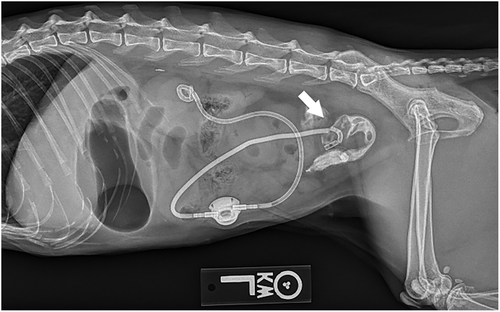 Details are in the caption following the image Details are in the caption following the image