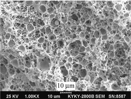 Novel Porous Monolithic Column Using Poly(high internal phase emulsion) Methacrylate as Materials for Immunoglobulin Separation Performance on HPLC