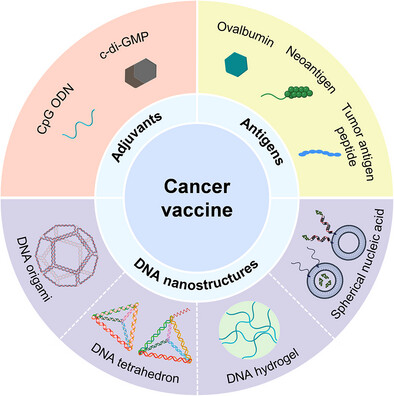 DNA Nanostructures-Based In Situ Cancer Vaccines: Mechanisms and Applications