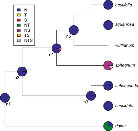 Range change evolution of peat mosses (Sphagnum) within and between climate zones
