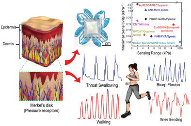 Epidermis-Inspired Wearable Piezoresistive Pressure Sensors Using Reduced Graphene Oxide Self-Wrapped Copper Nanowire Networks