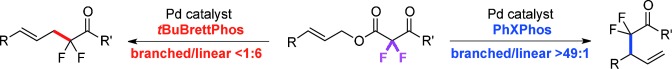 Ligand-Controlled Regiodivergent Palladium-Catalyzed Decarboxylative Allylation Reaction to Access α,α-Difluoroketones