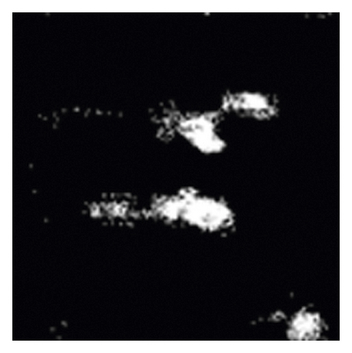 Details are in the caption following the image