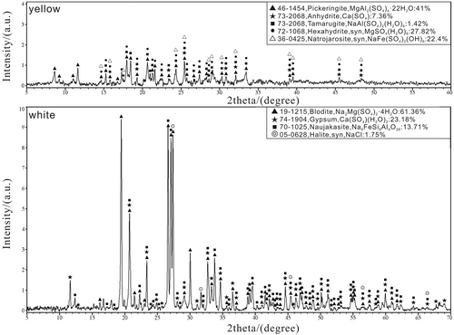Details are in the caption following the image Details are in the caption following the image