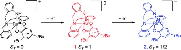 Generation of a RuIIâSemiquinoneâAnilino-Radical Complex through the Deprotonation of a RuIIIâSemiquinoneâAnilido Complex