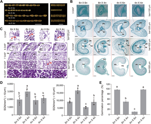 Details are in the caption following the image Details are in the caption following the image