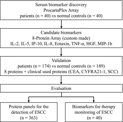 Elevated serum eotaxin and IP-10 levels as potential biomarkers for the detection of esophageal squamous cell carcinoma