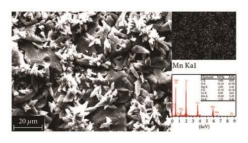 Details are in the caption following the image